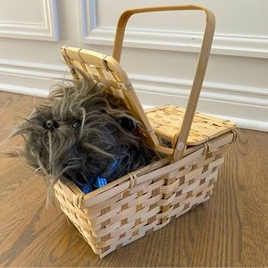 Toto in a Basket for Wizard of Oz costume